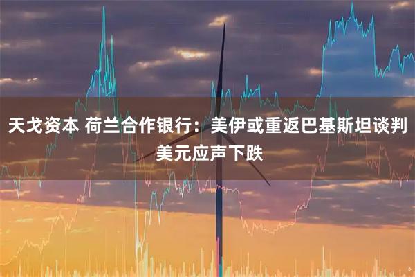 天戈资本 荷兰合作银行：美伊或重返巴基斯坦谈判 美元应声下跌